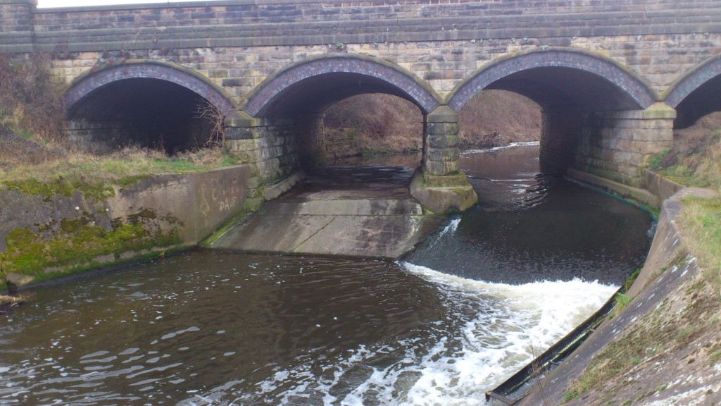 Lower Weir, River Dearne at Old Moor
