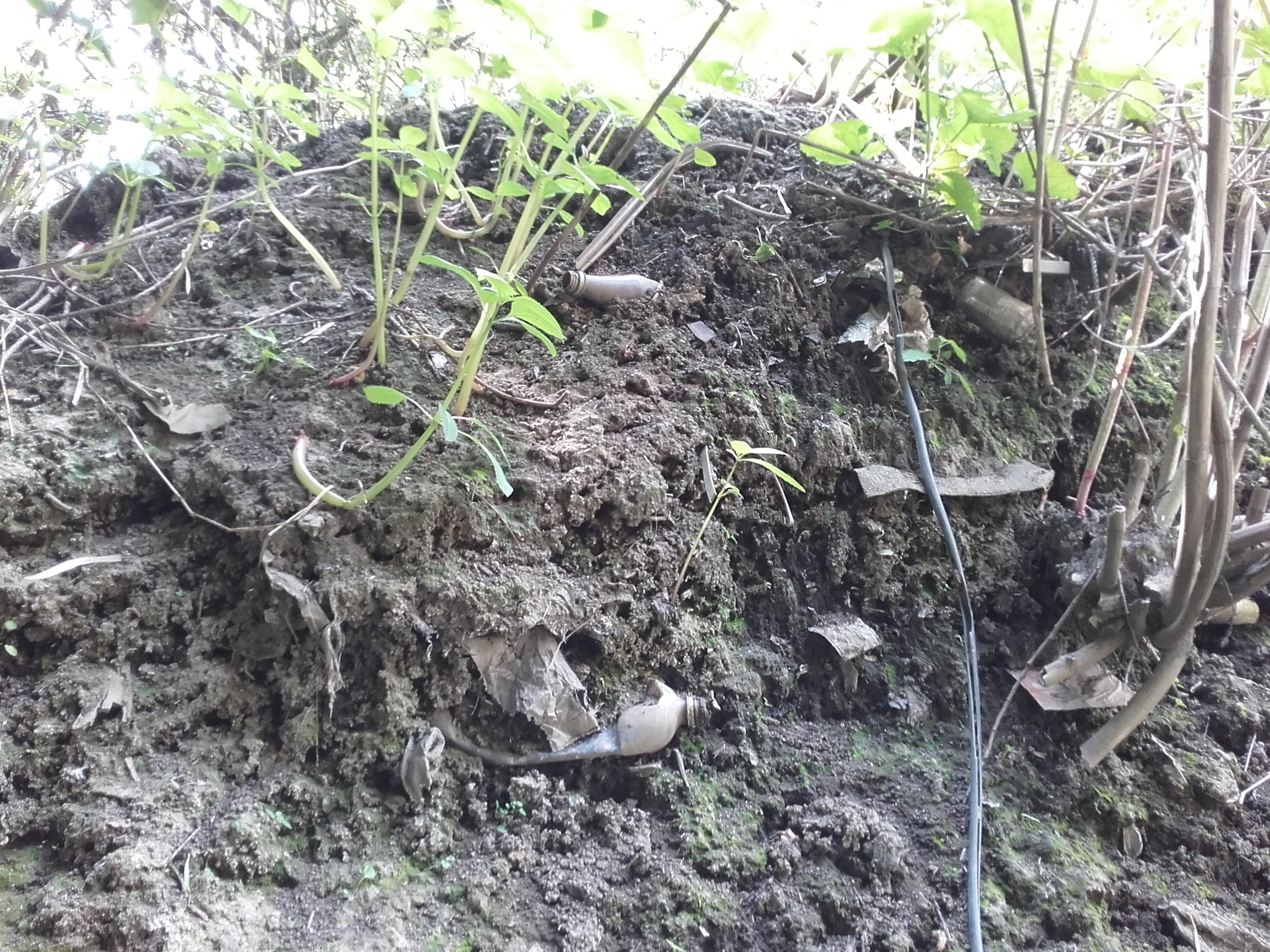 20160517_113050.jpg
