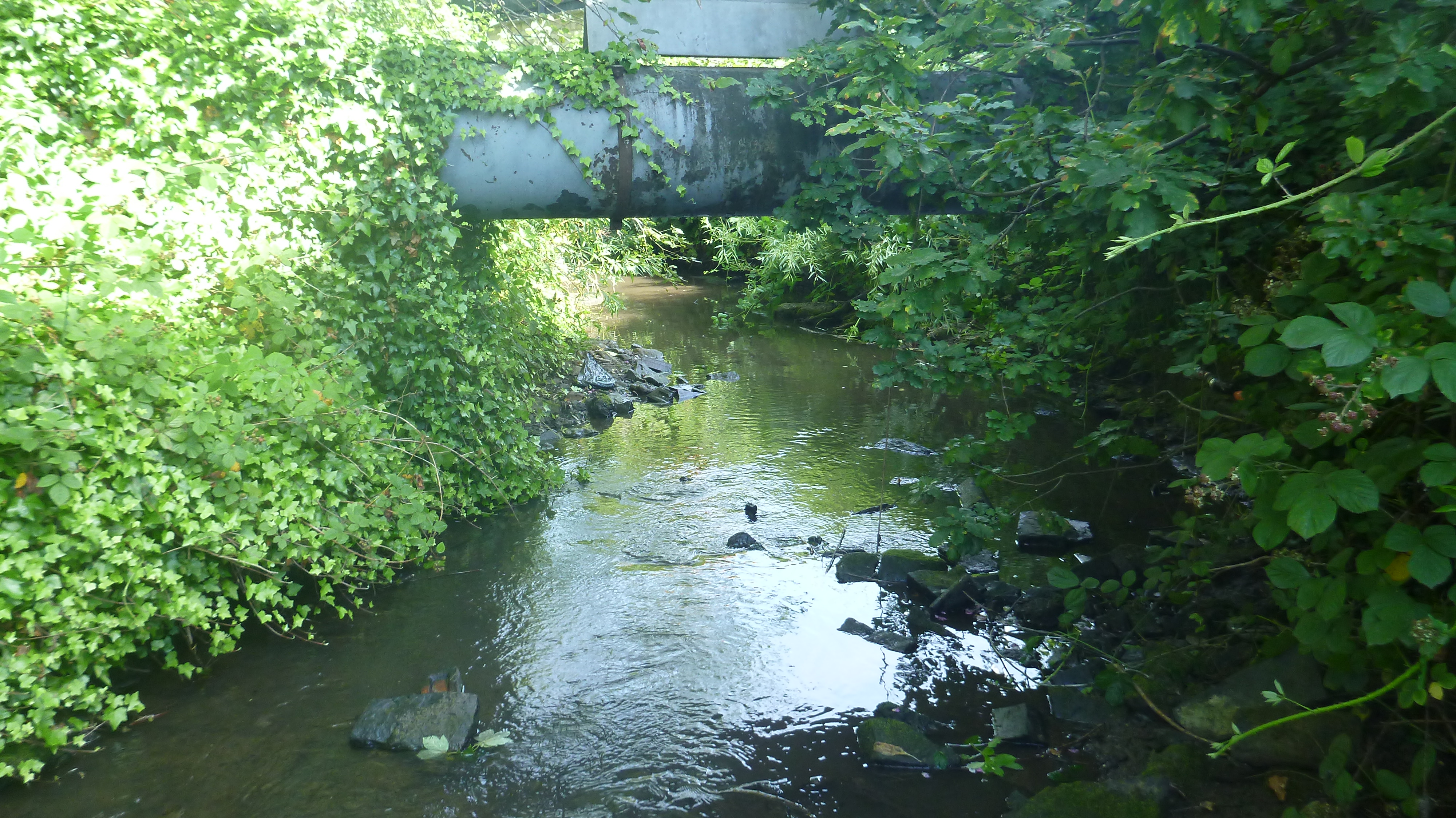 P1000888.JPG