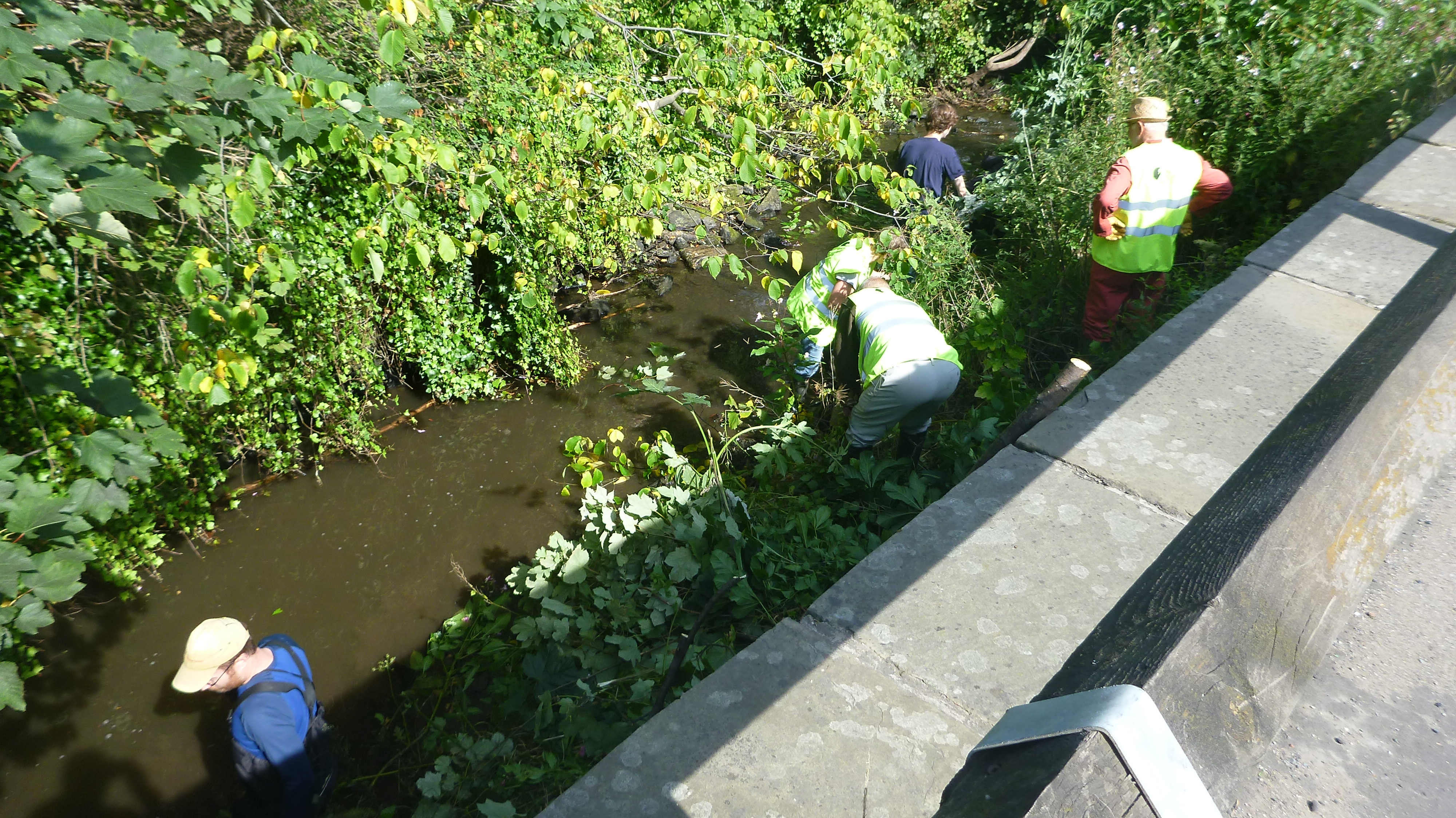 P1000892.JPG
