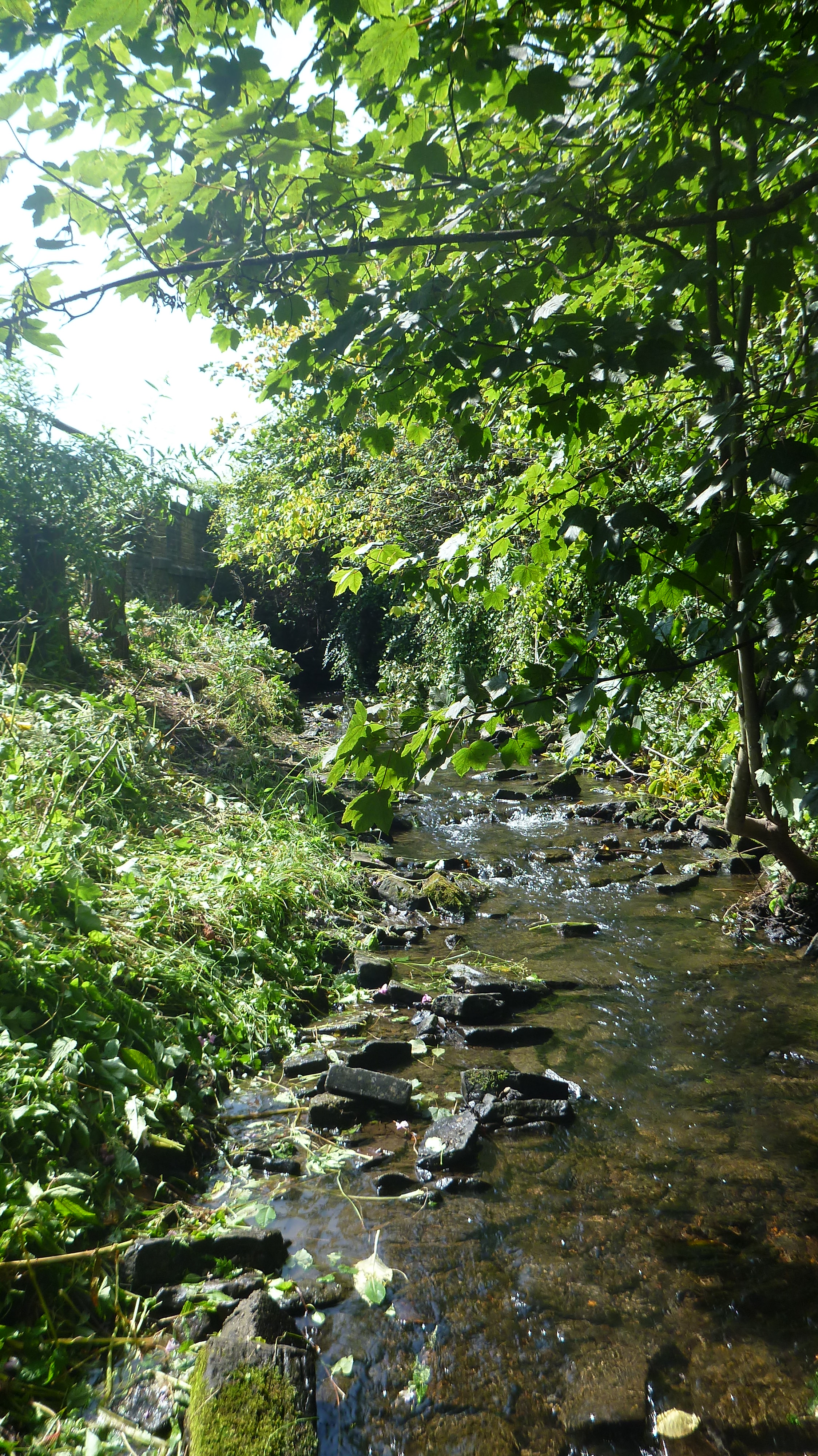 P1000902.JPG