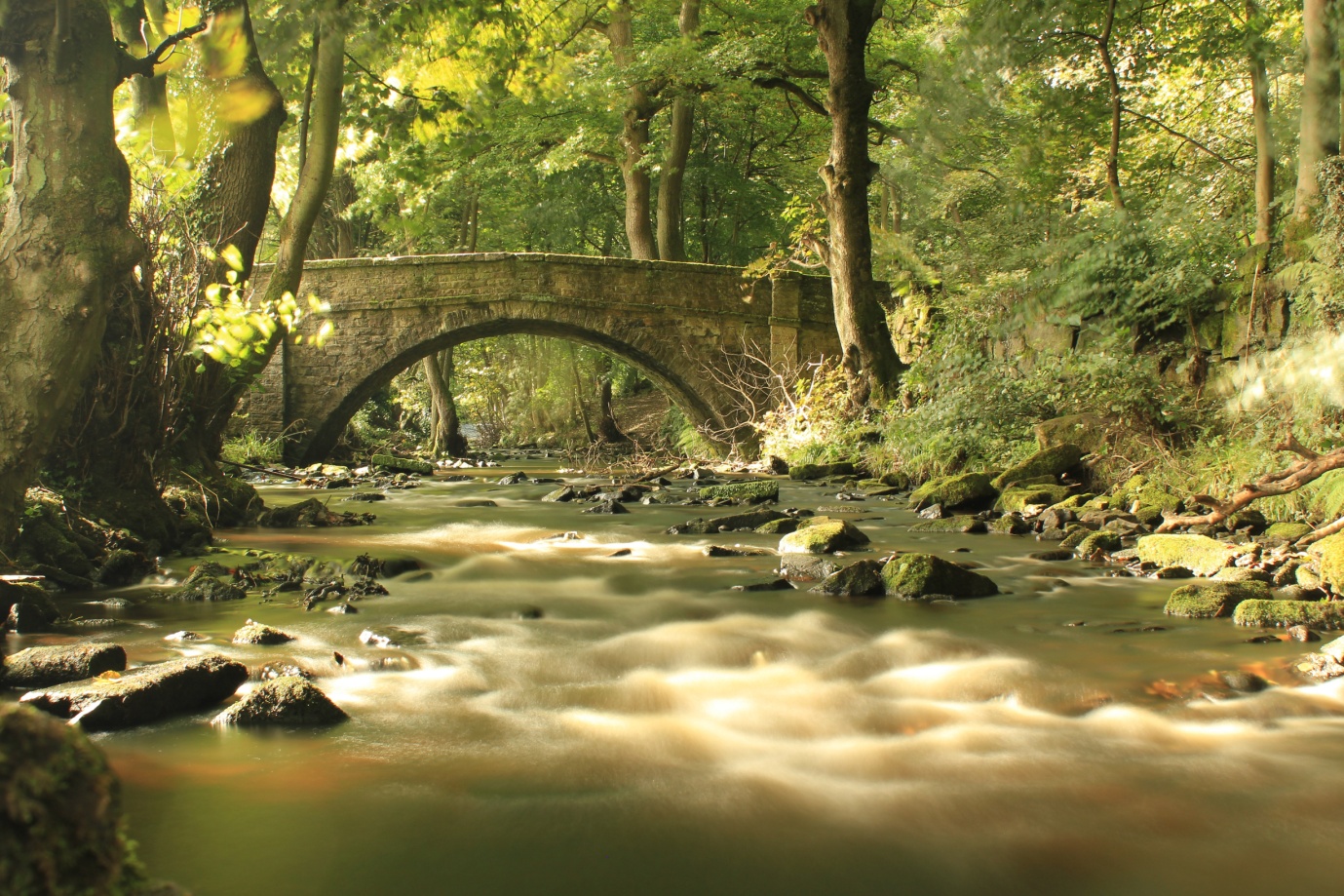 Rivelin.jpg