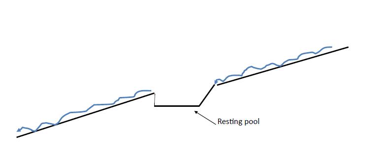 schematic of 2flt larinier