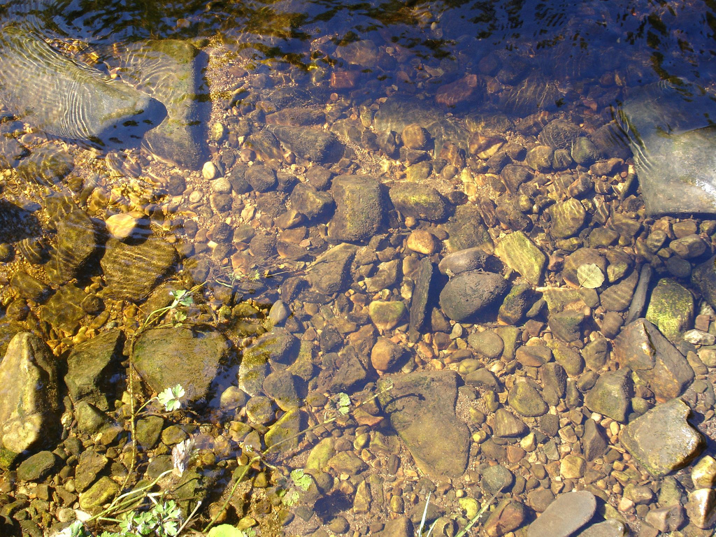 245311203_92a6a90302_b.jpg