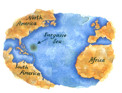 Sargasso Sea.png