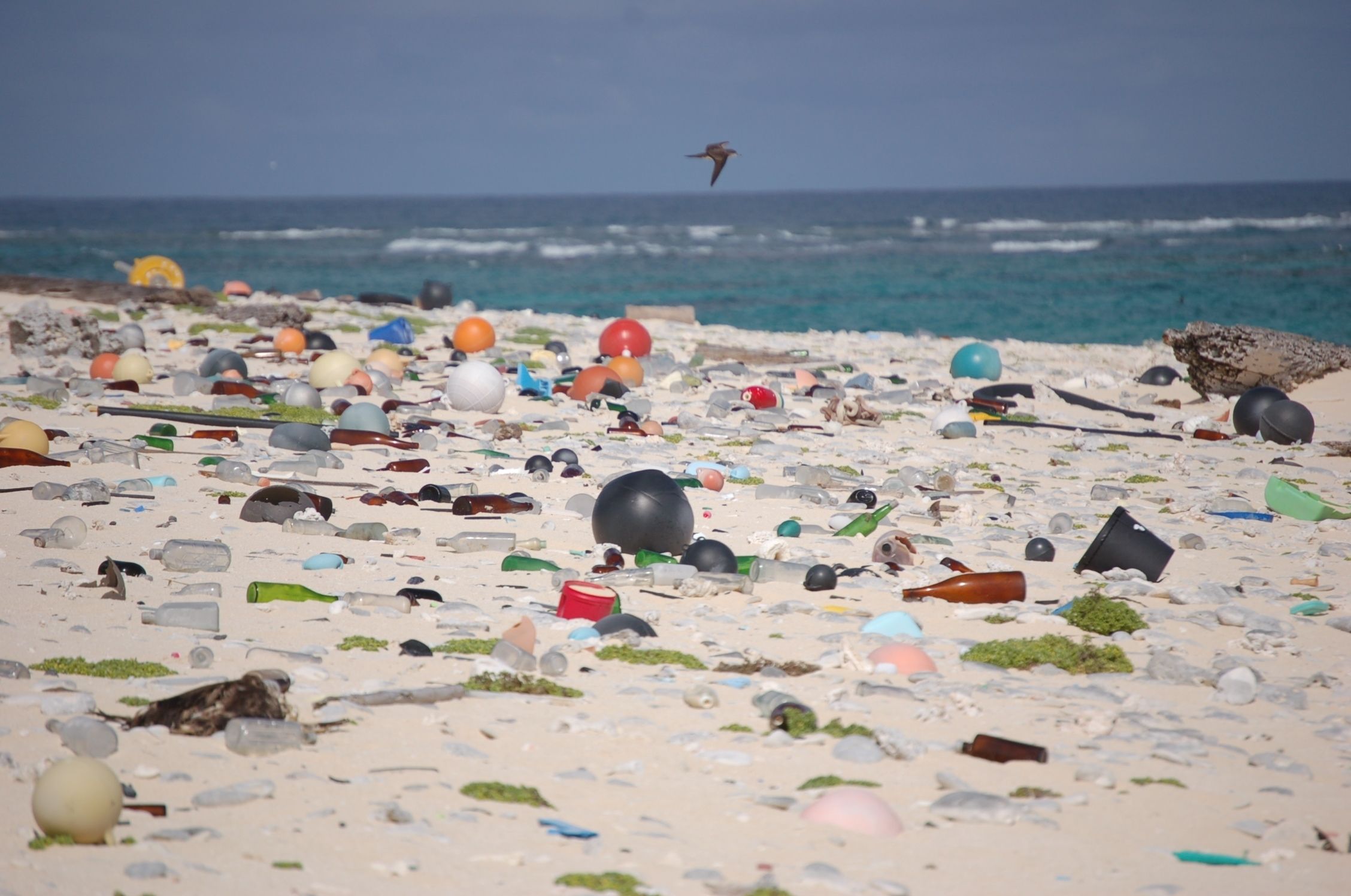 beach_litter