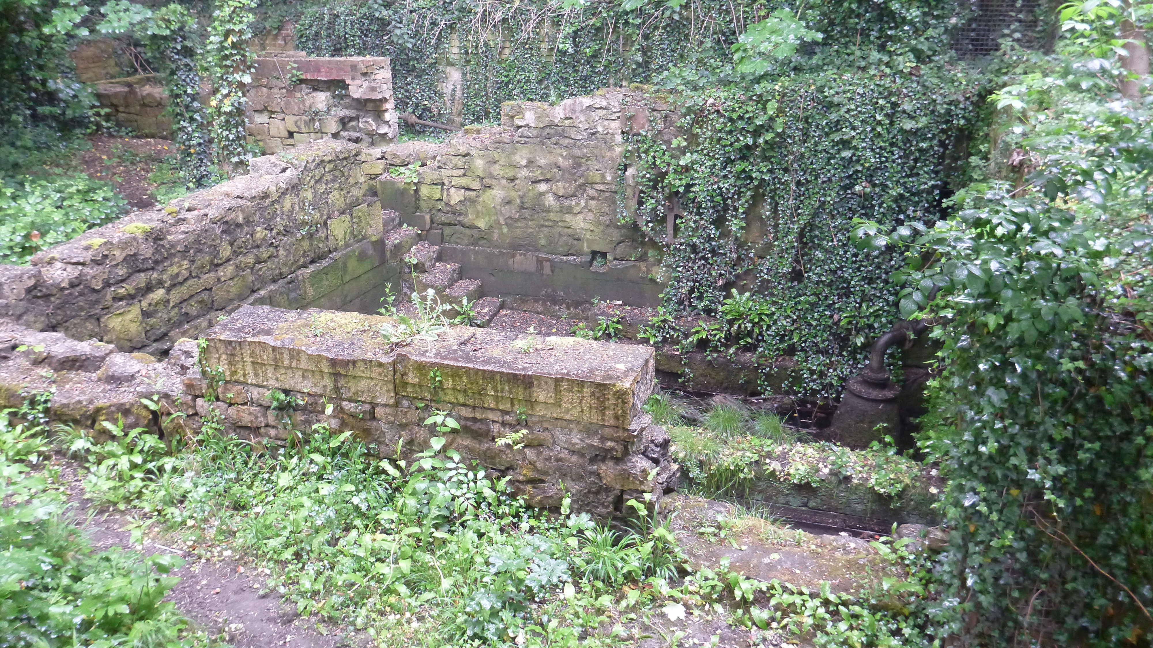 P1000979