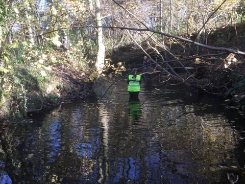 moss 24th nov