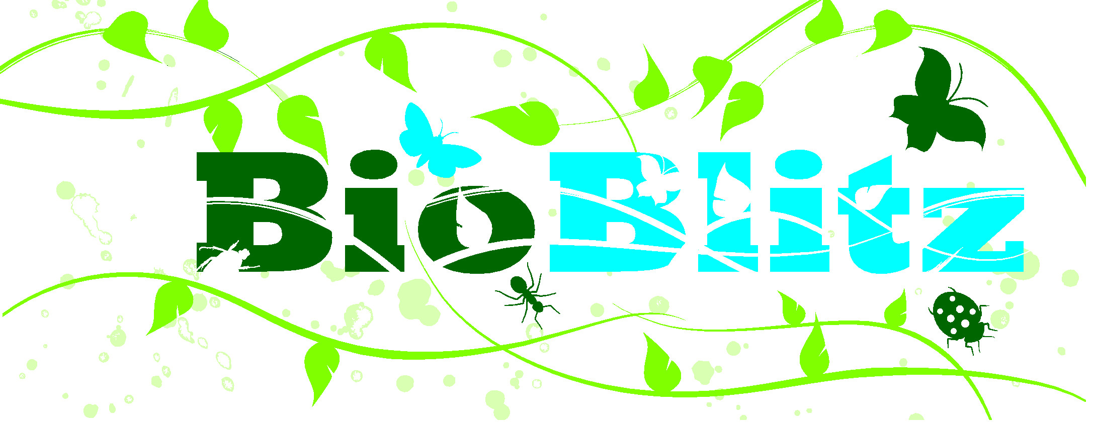 BioBlitz Banner Image.jpg