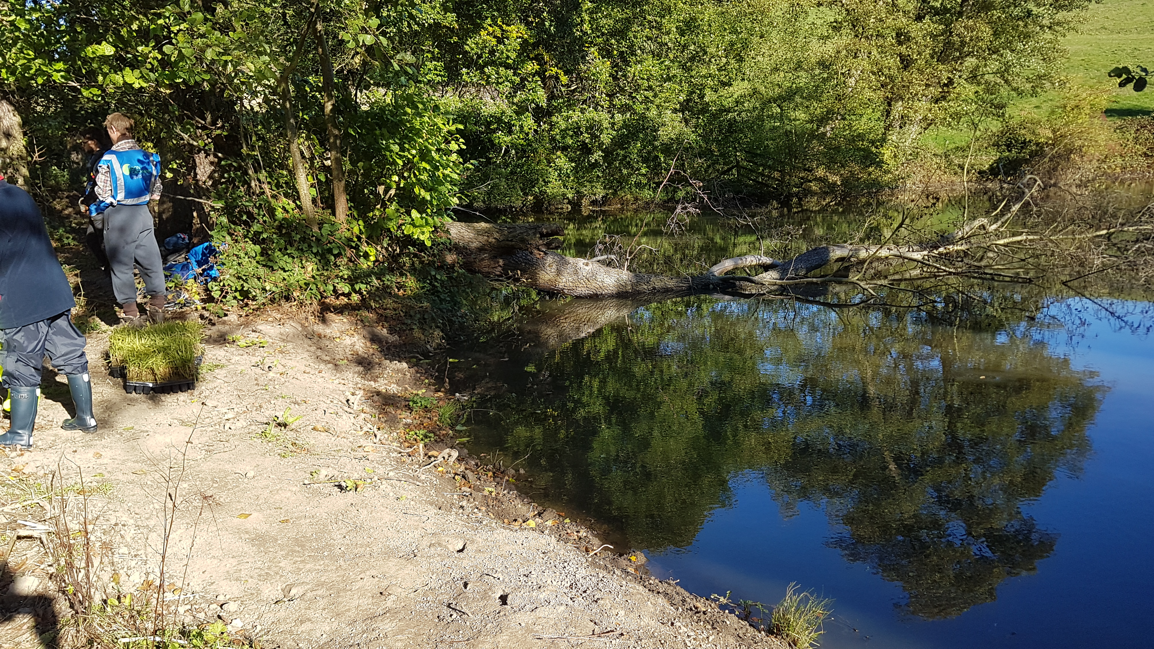 20181024_113730.jpg