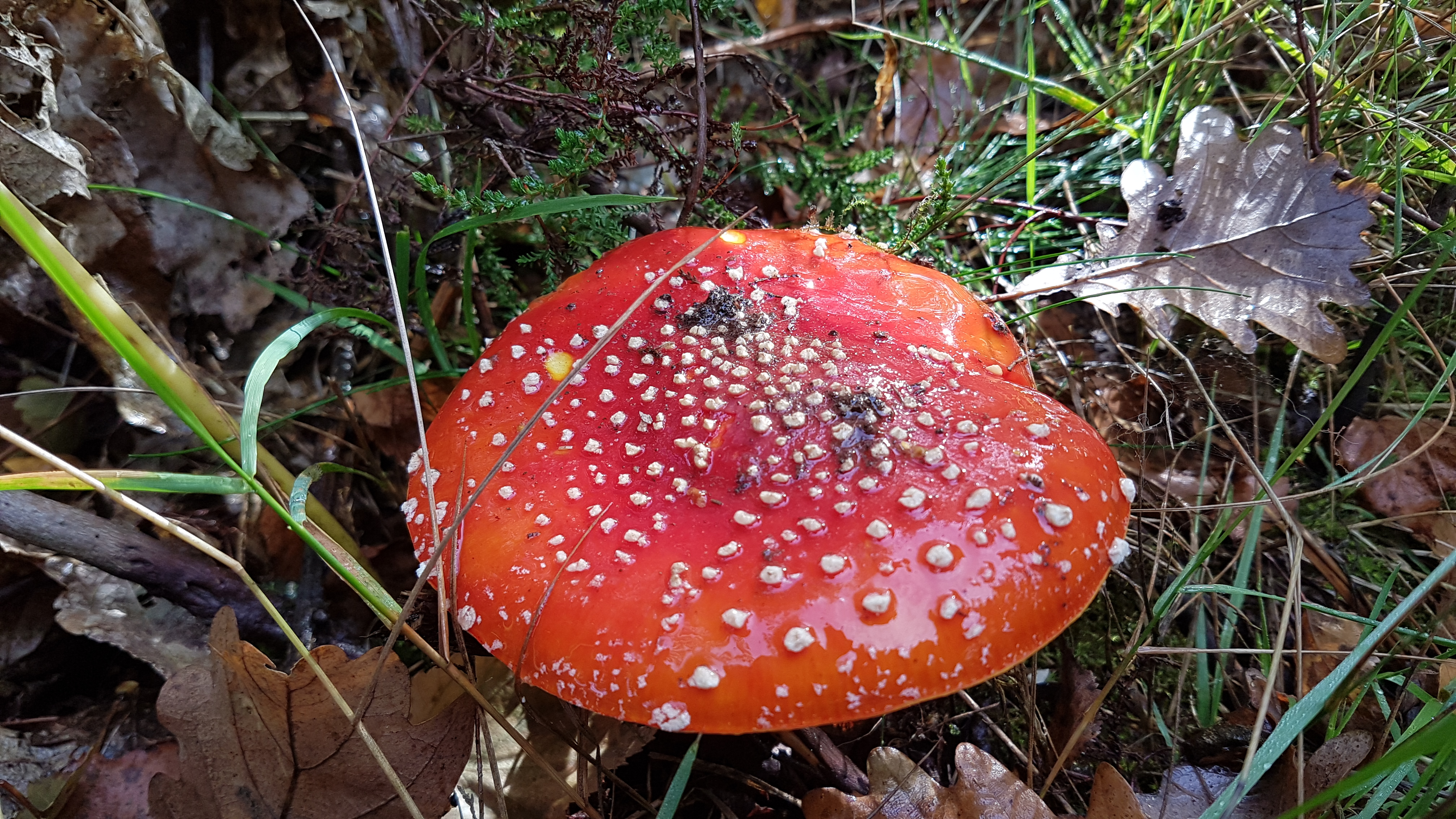 20181007_115958