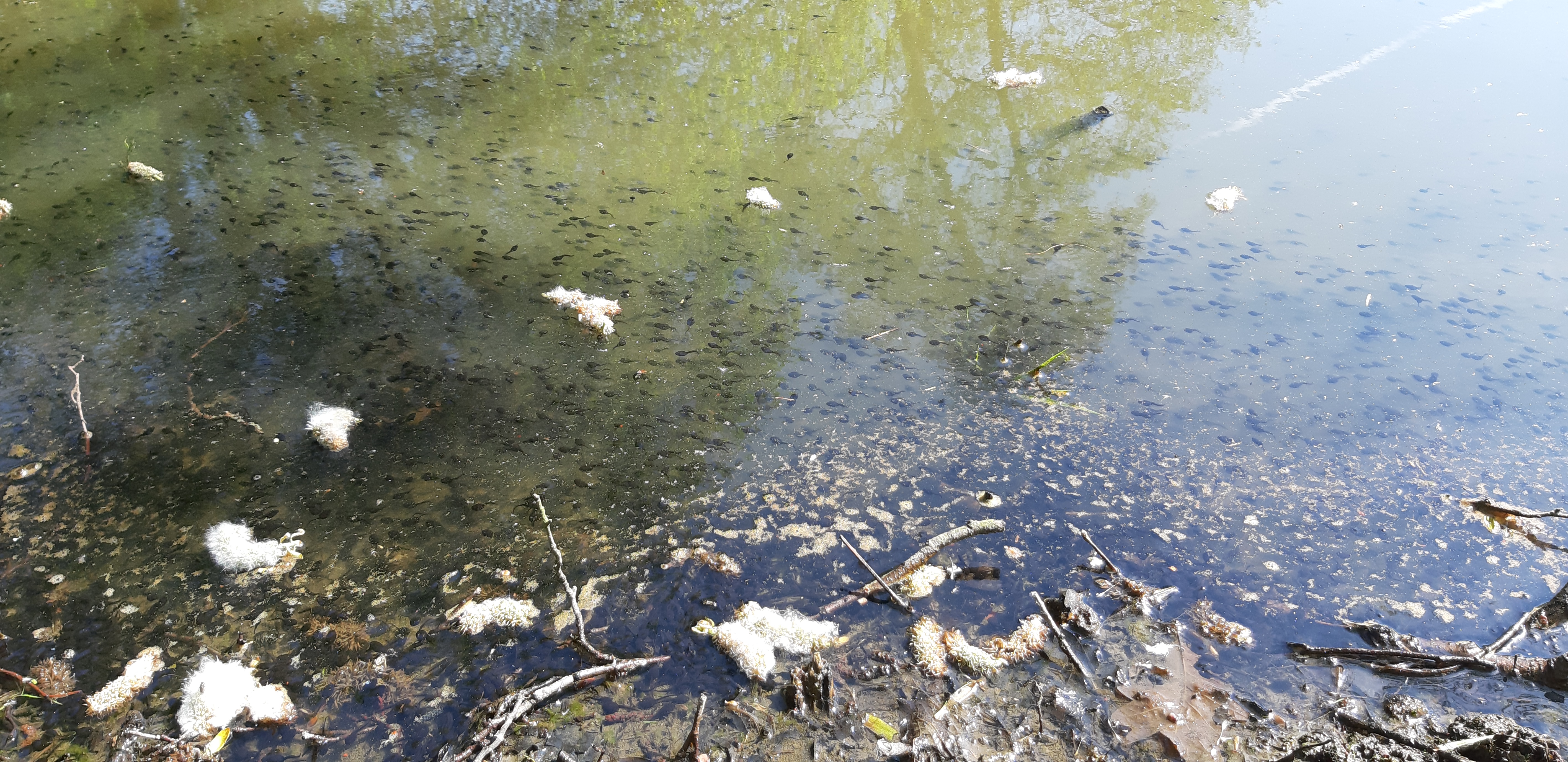 20190515_101714