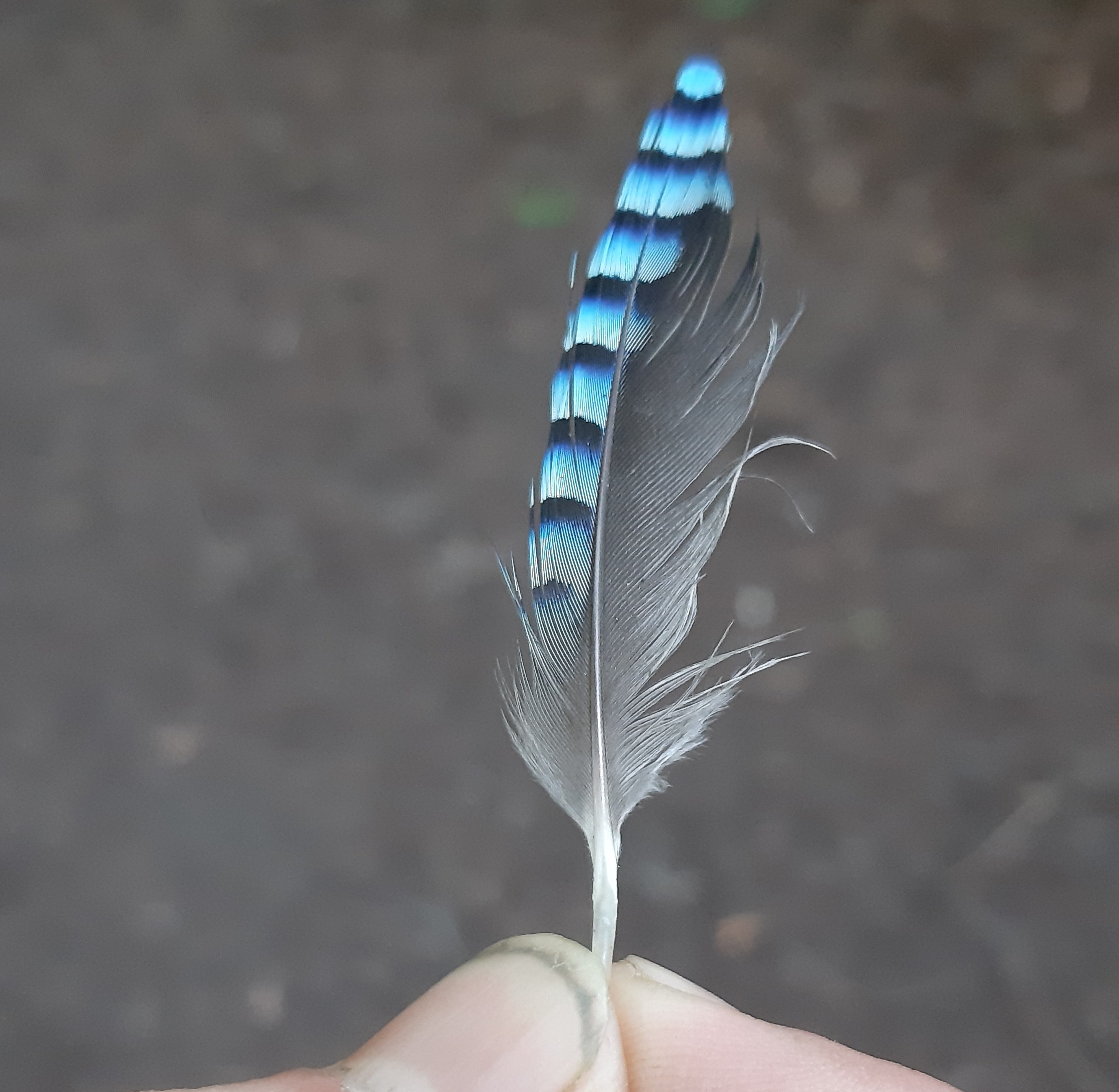 20190710_142120.jpg