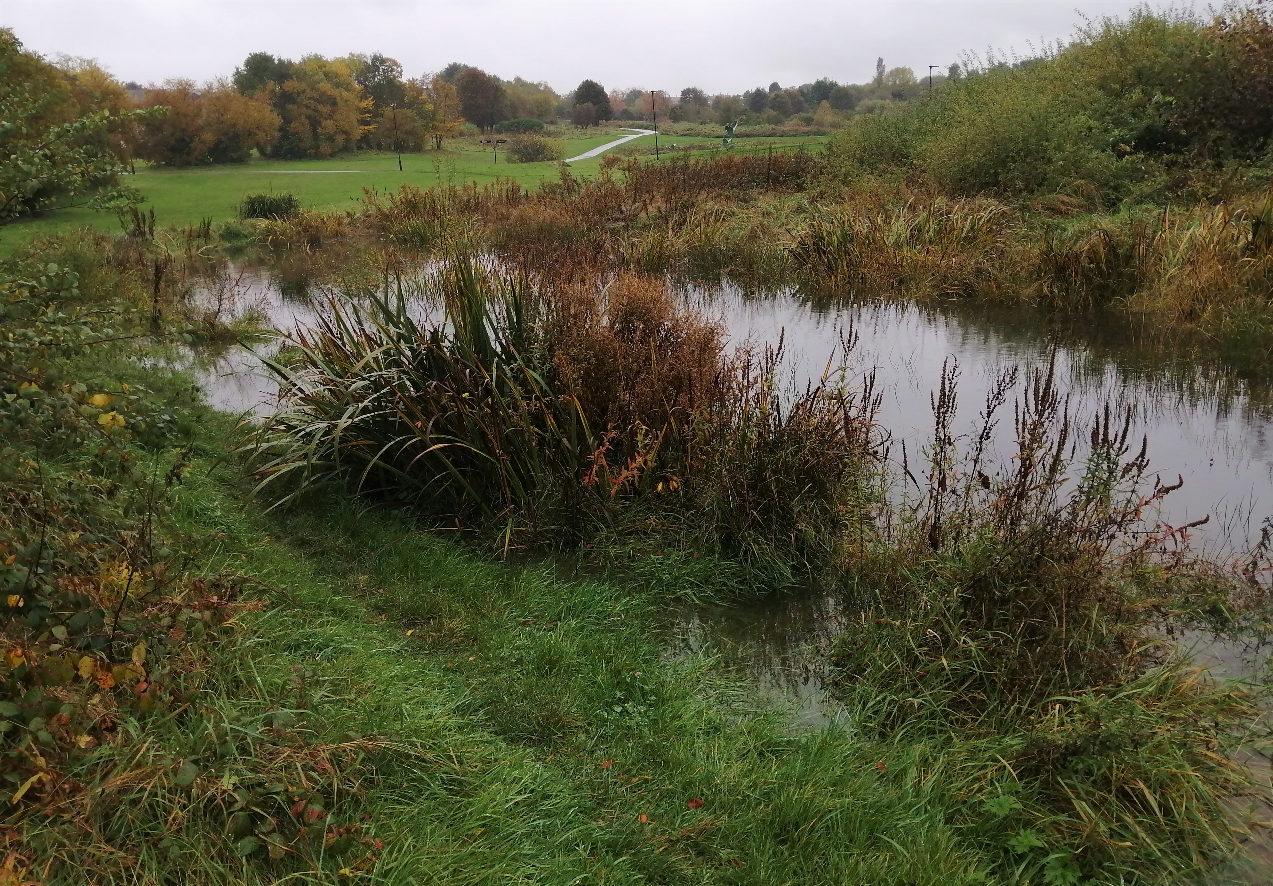 Flood_storage_pond