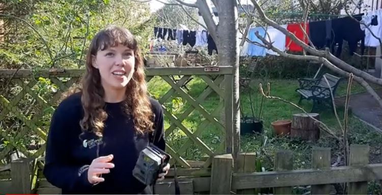 wildlfiecamera blog photo