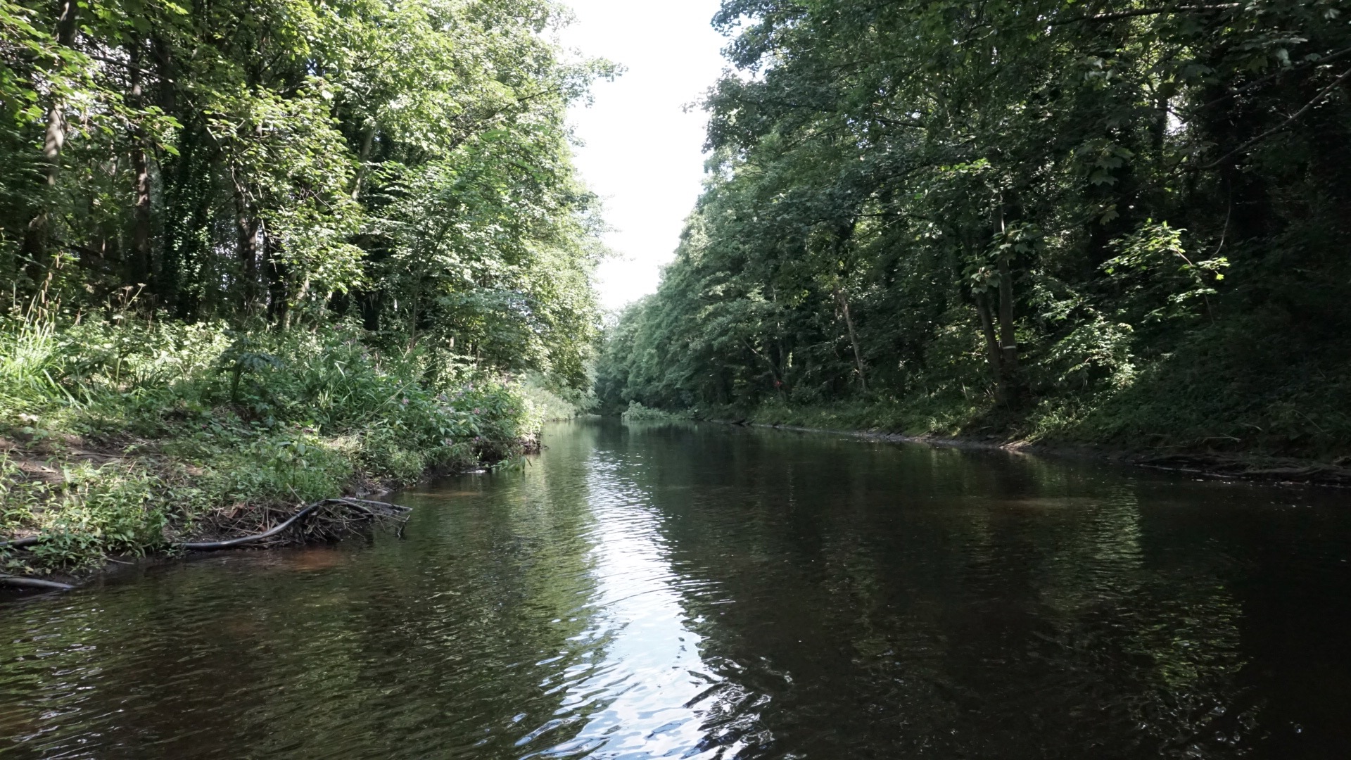 Photo of a river
