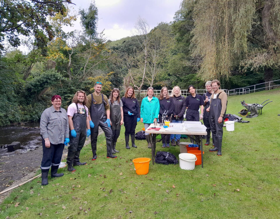 A group of DCRT staff and volunteers standing together beside a river during a Riverfly training session, with equipment laid out on a table in front of them.