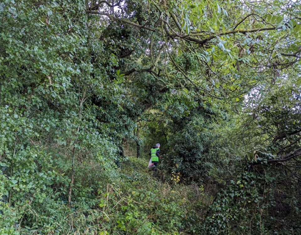 A volunteer in a high-visibility vest picking litter along an overgrown woodland path during a community litter pick in Hexthorpe Park.