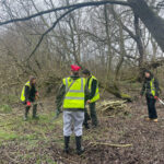 Volunteers in high-visibility vests stacking cut willow branches into habitat piles on the wetland site.