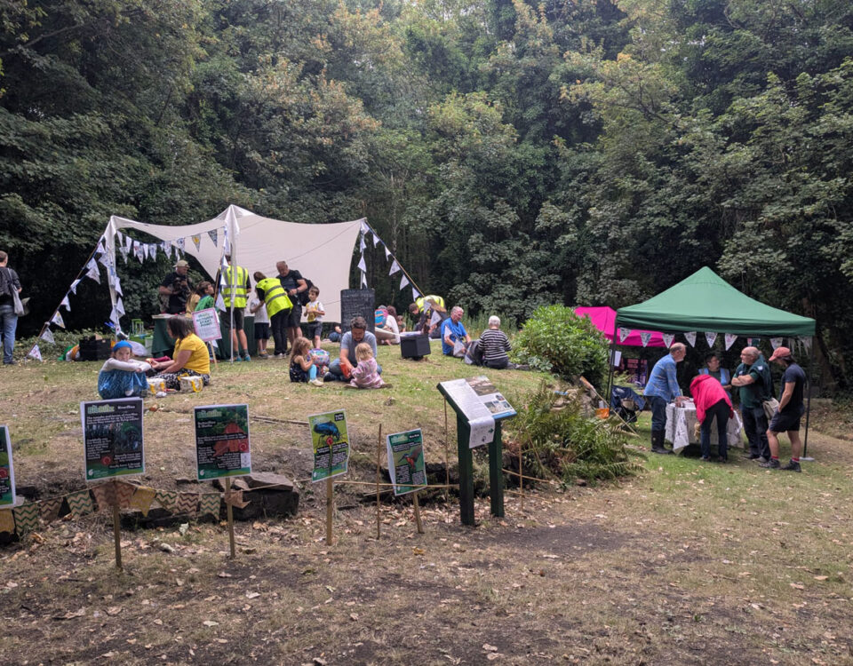 Families and volunteers taking part in outdoor nature activities at the Wardsend Cemetery Bioblitz, with information stalls and tents set up in a wooded clearing.