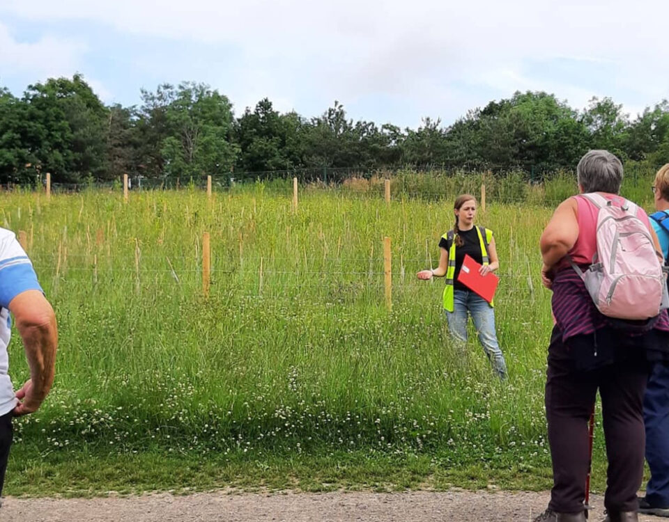 An outdoor education session with a group listening to a guide in a meadow beside the river.