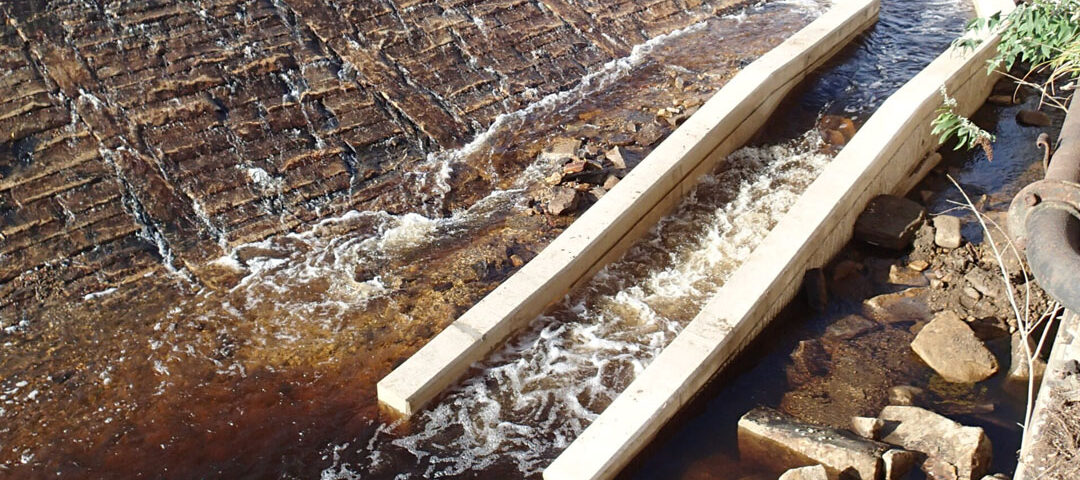Steelbank Larinier fish pass with concrete baffles forming a stepped channel alongside a weir to help fish move upstream.