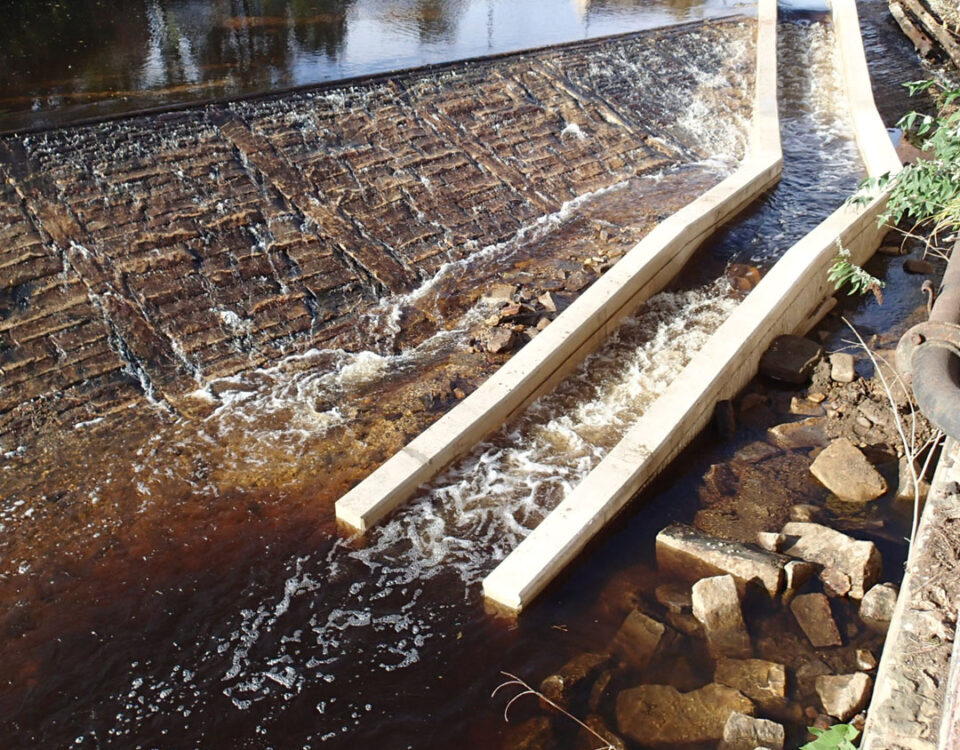 Steelbank Larinier fish pass with concrete baffles forming a stepped channel alongside a weir to help fish move upstream.