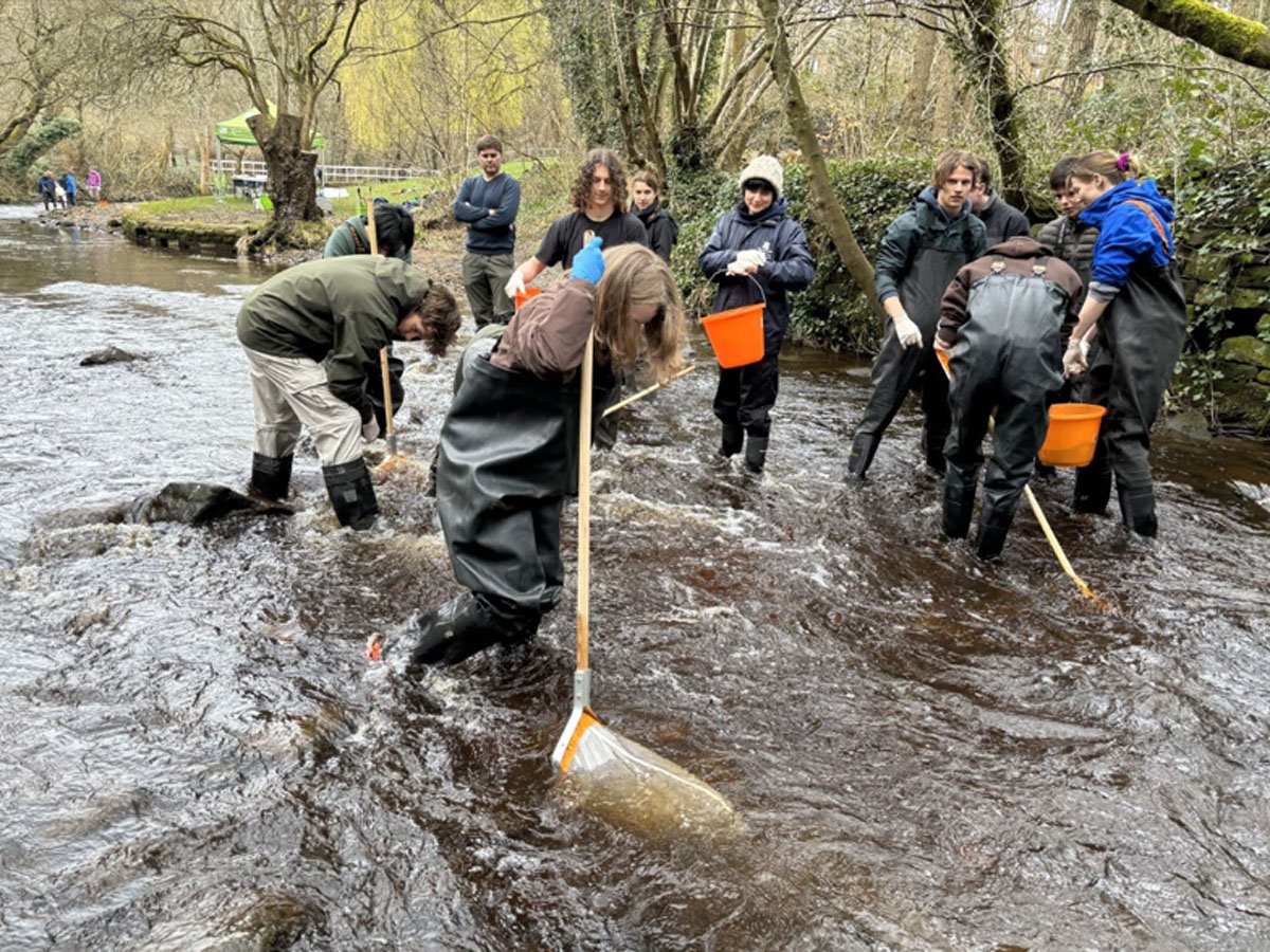 Volunteers wearing waders carry out river sampling using nets and buckets in a shallow stream.