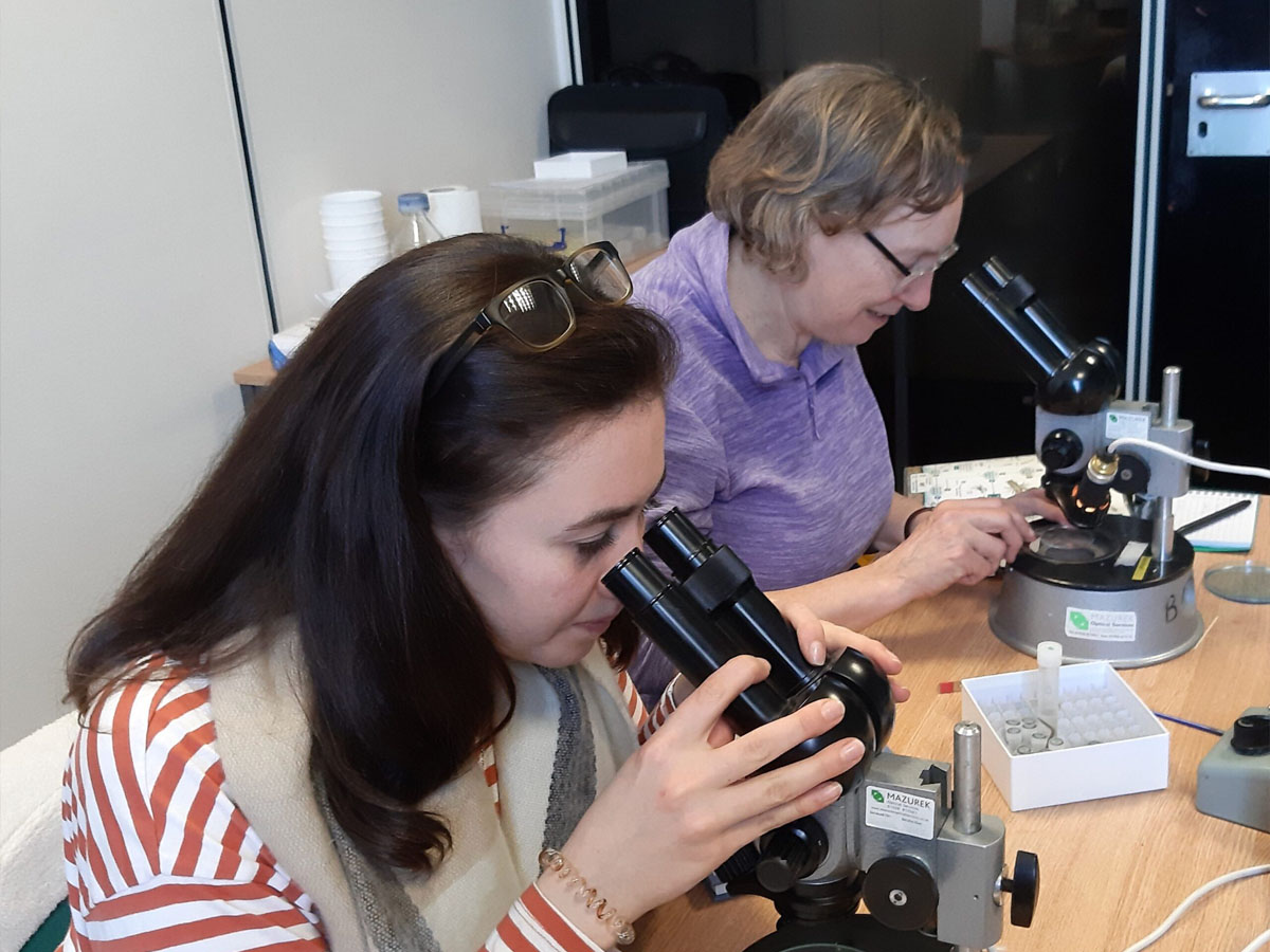 Two volunteers using microscopes to analyse river samples as part of a citizen science project.