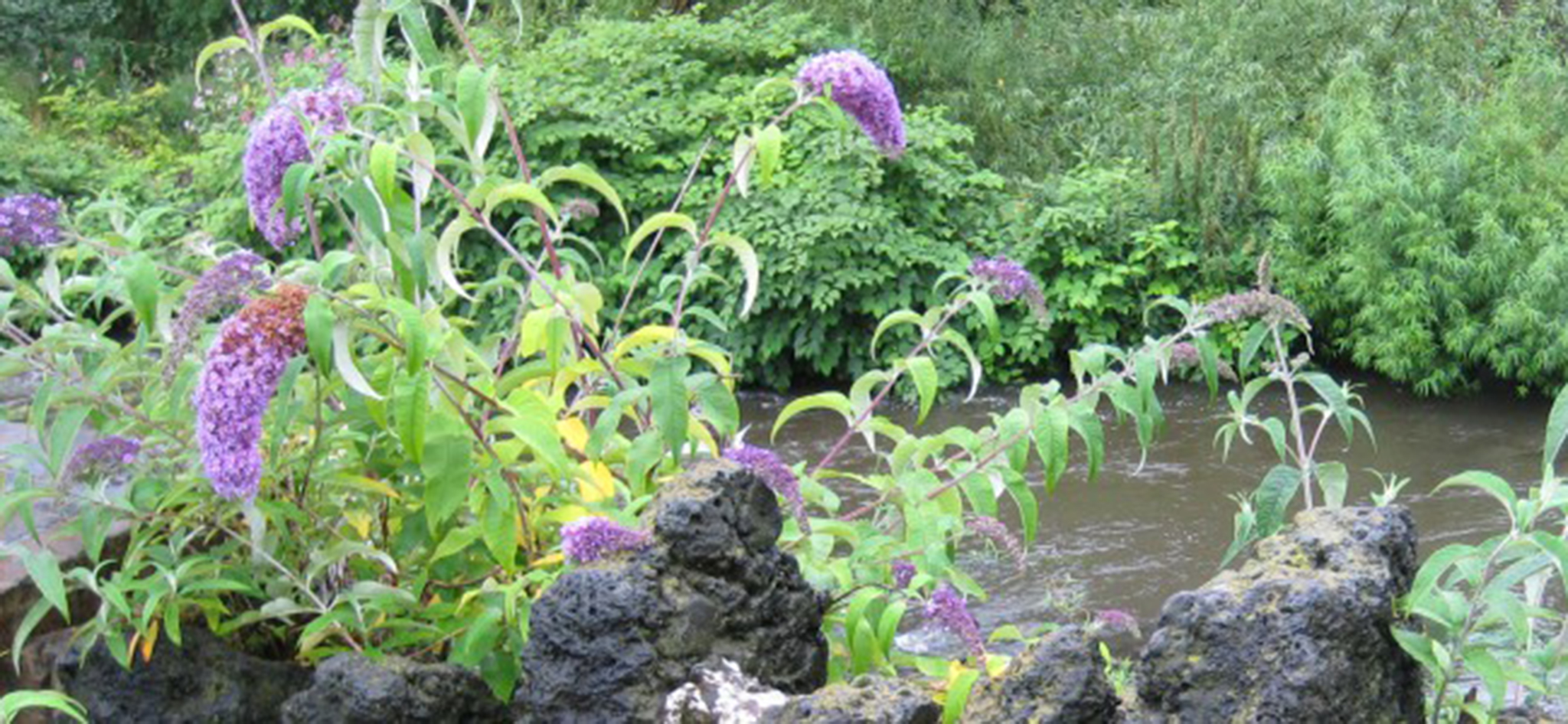 conservation and restoration scheme